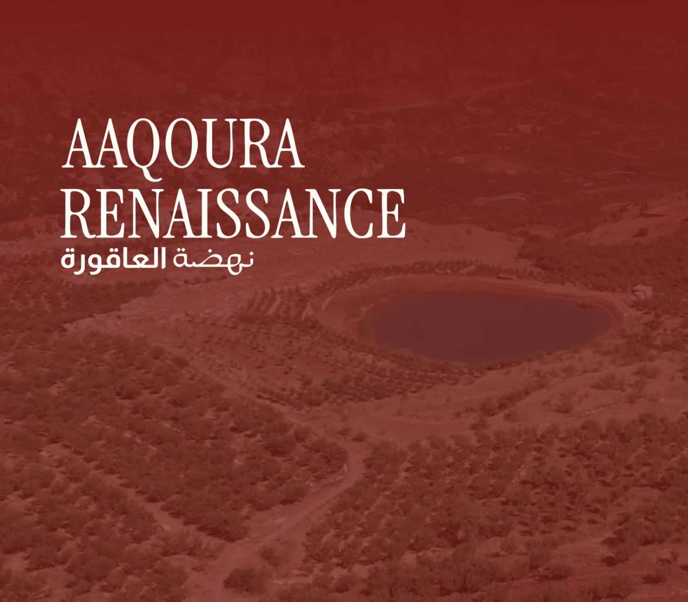 Published Aaqoura Renaissance website graphic