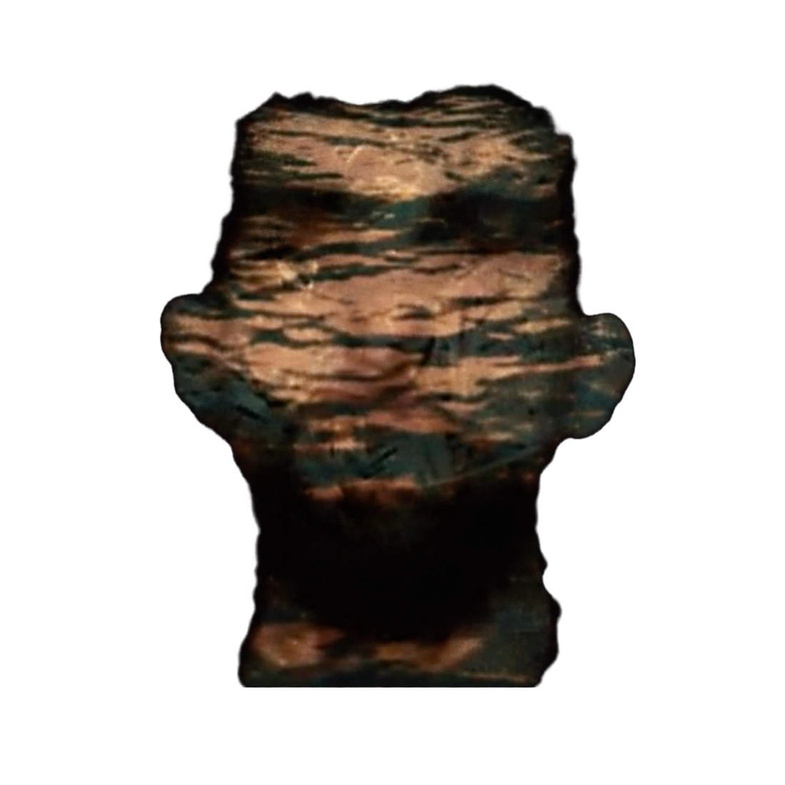 William’s head with the original ocean-wave double exposure from Interwoven