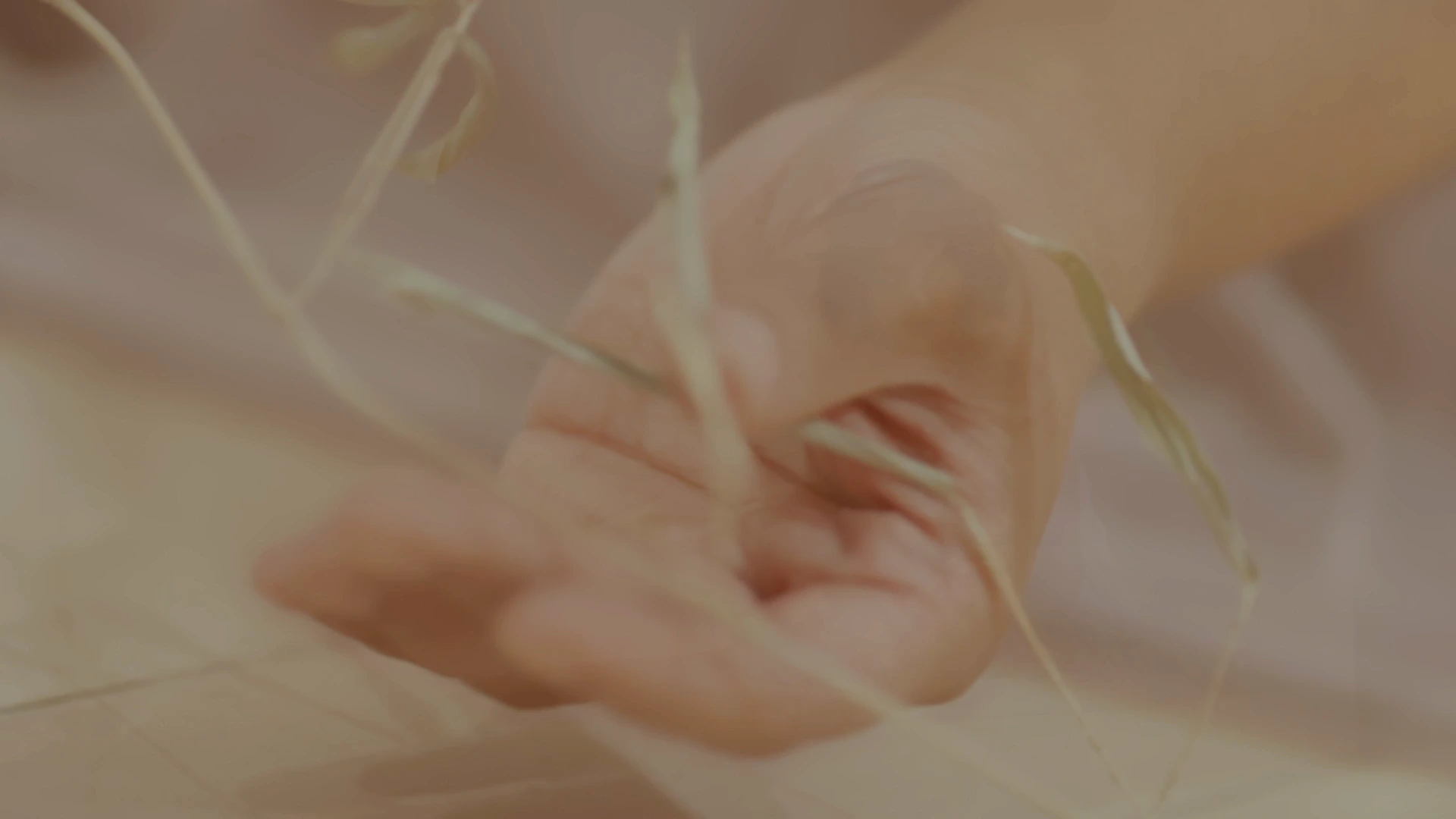 Selected frame of layered hands from Connected, featuring performer Trisha Gupta