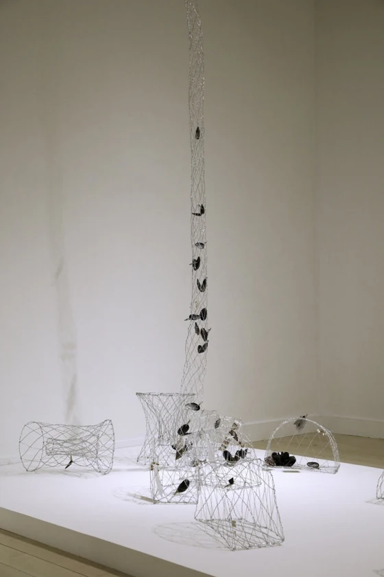 Jiangshengyu Nova Pan · artwork in Holding Tension, 2022