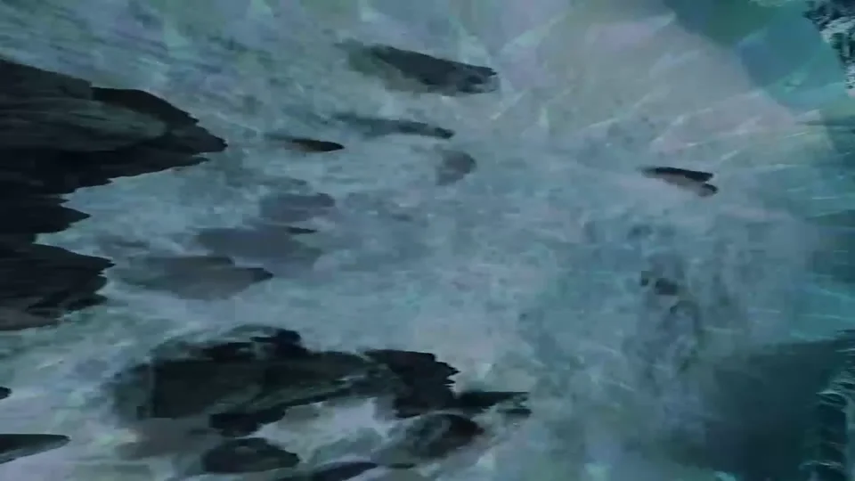Salaam — Visuals for Dvořák’s Piano Quintet — selected work image