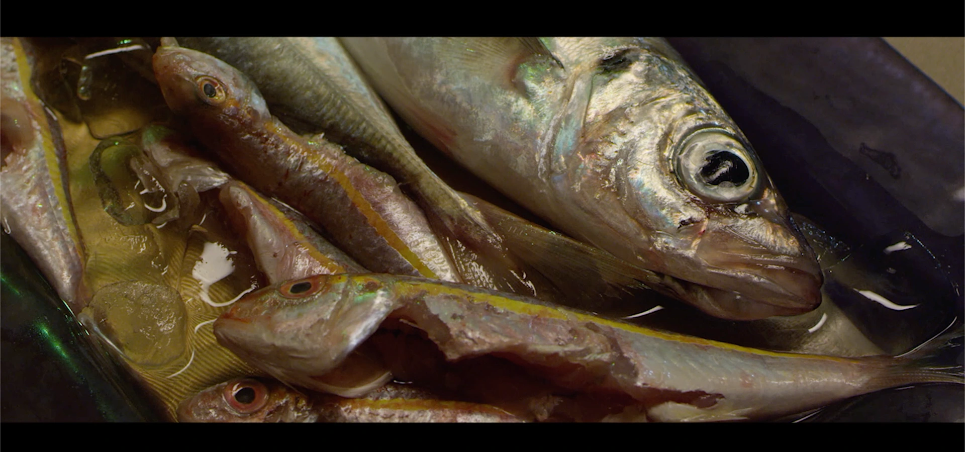 Selected frame from the film