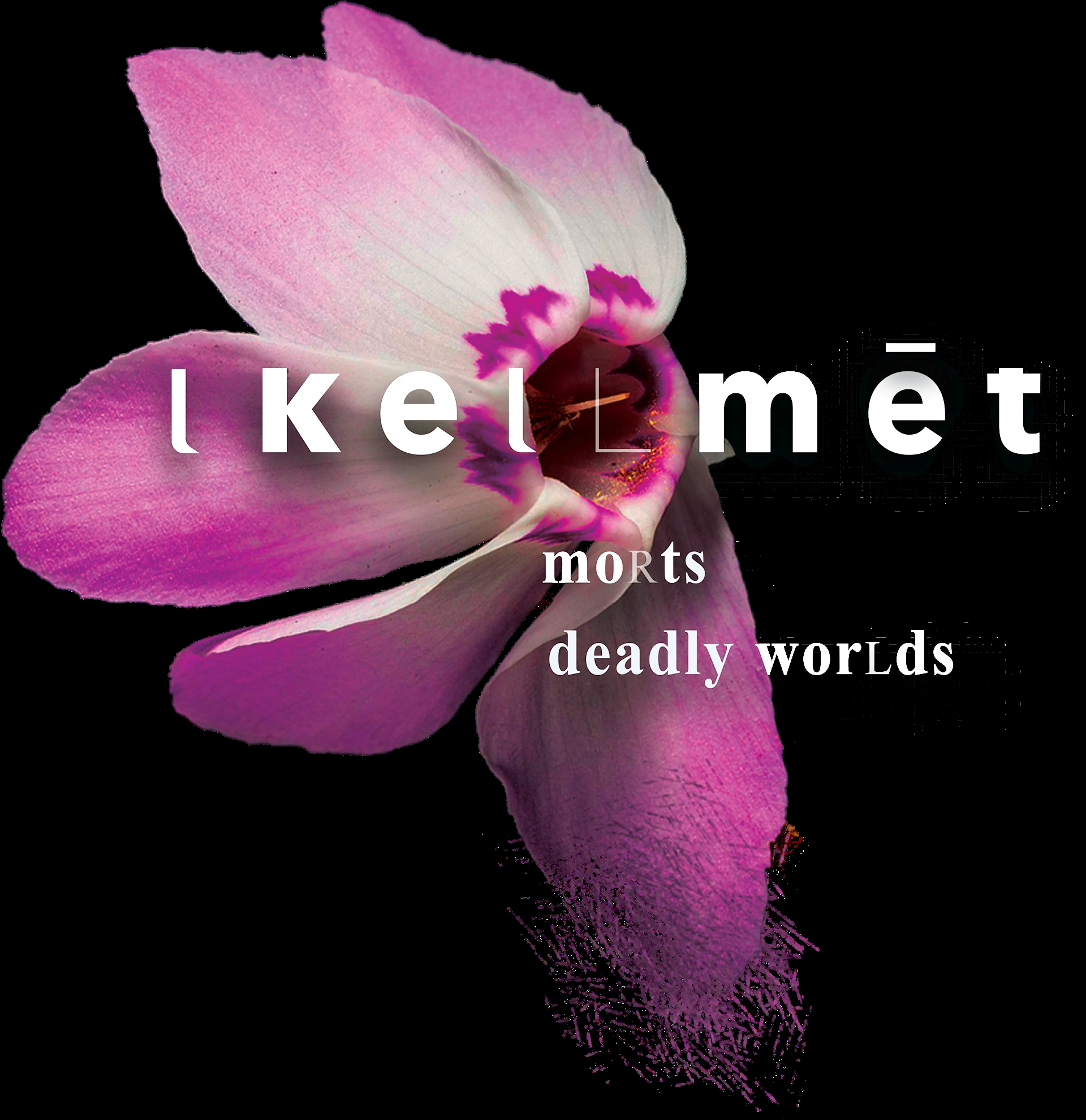 Cover artwork and title lettering