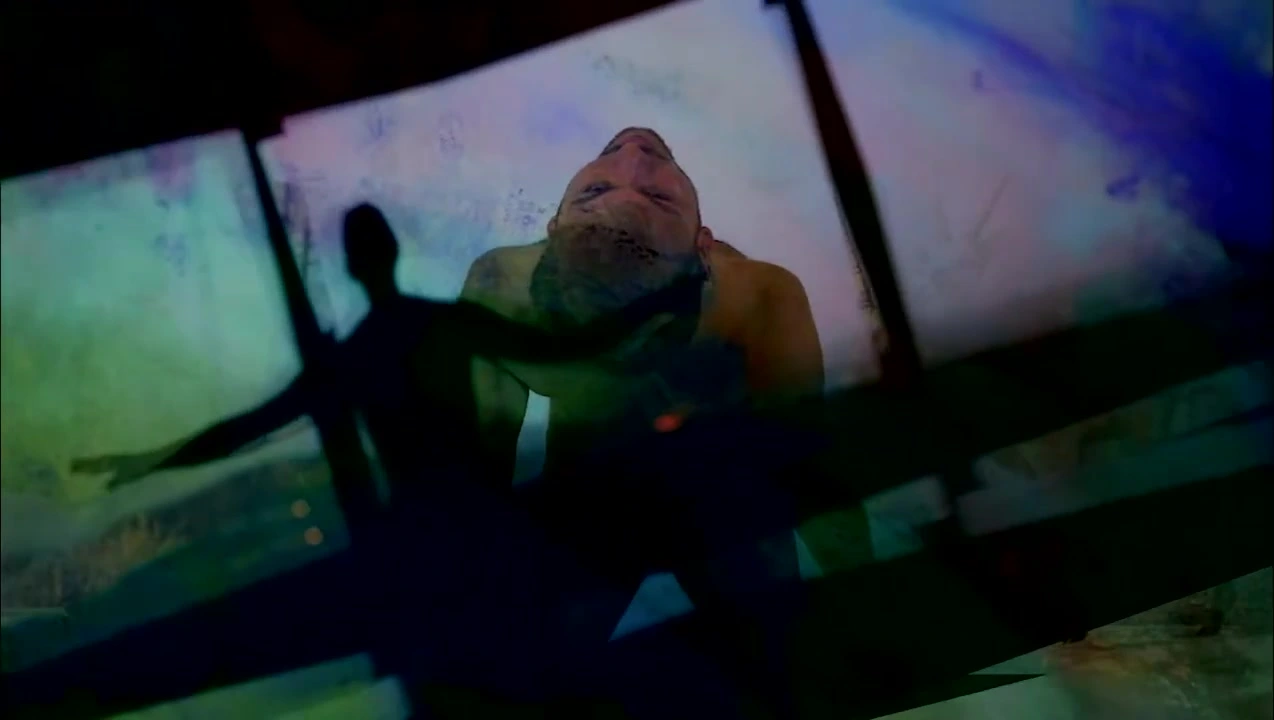 Painting Species: the projected body and animal imagery behind a dark window structure.