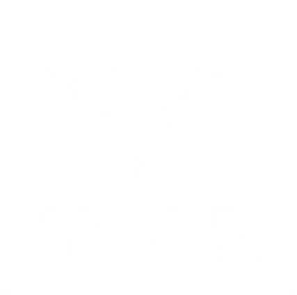 Organization logo · Andromeda Film Festival