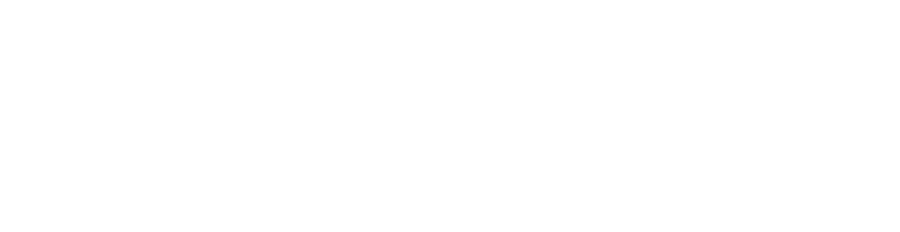 DC Commission on the Arts and Humanities logo