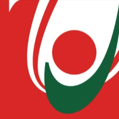 Organization logo · Lebanese University