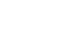 MTV Lebanon · organization identity