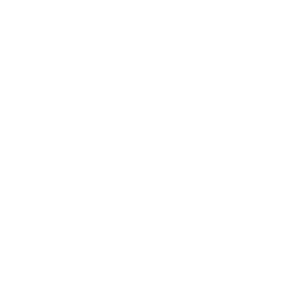 Rio International Monthly Awards Film Festival · organization logo