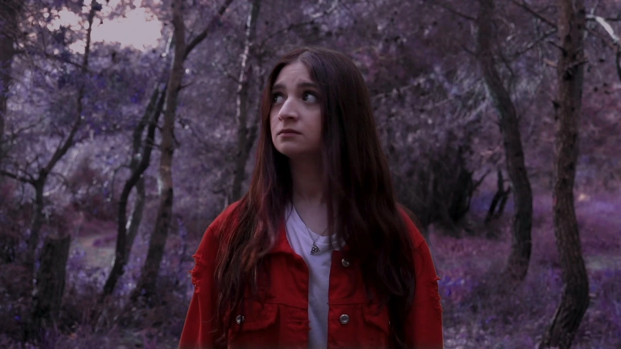A woman in red stands among trees in a purple-toned woodland. · The Unfortunate